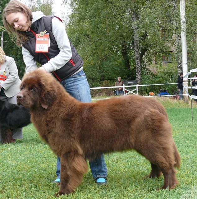 Фотография № 49049