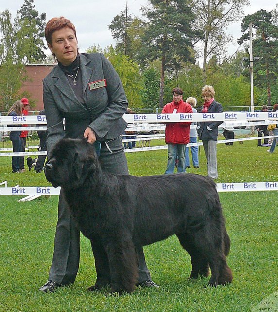 Фотография № 49051