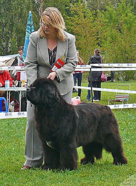 Фотография № 49052