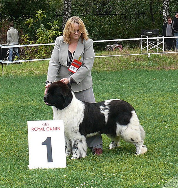 Фотография № 49055