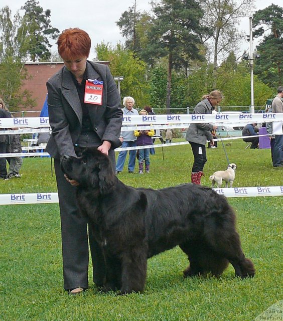 Фотография № 49057