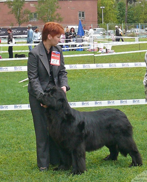 Фотография № 49058