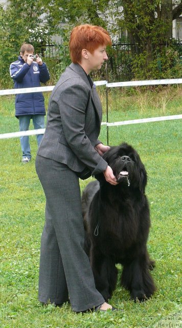 Фотография № 49060