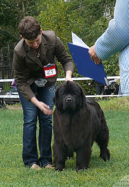 Фотография № 49061