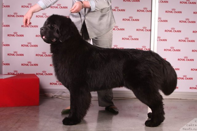 Фотография № 49069