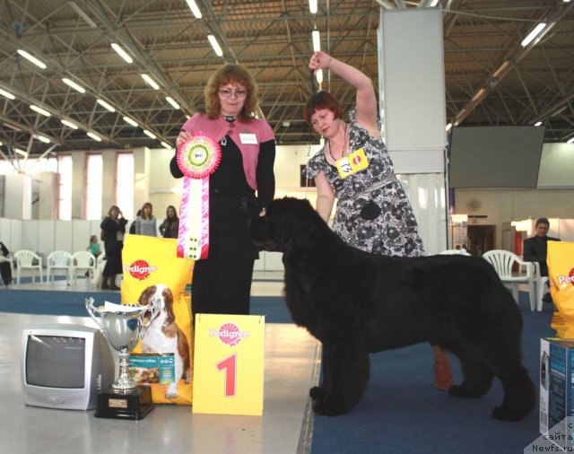 Фотография № 49111