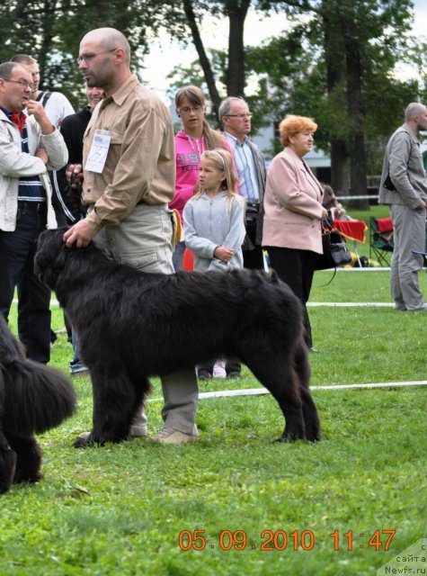 Фото: GOLANA GOLDEN STAR