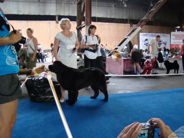 Фотография № 49212