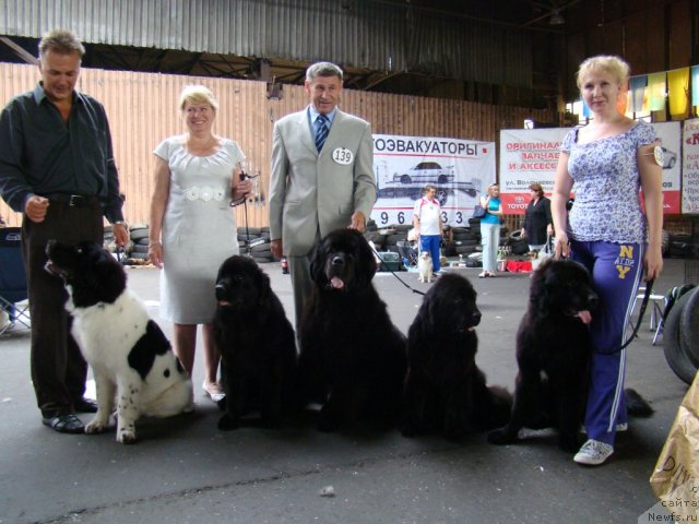 Фотография № 49213