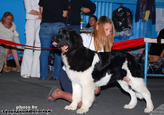 Фотография № 49258