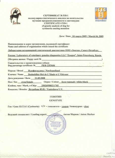 Фото: ньюфаундленд Deshabillez Moi de L'Iliade et L'Odyssee