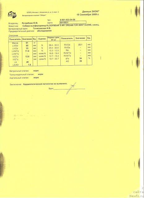 Фото: ньюфаундленд Kloofbears My Dream for Sent Djons