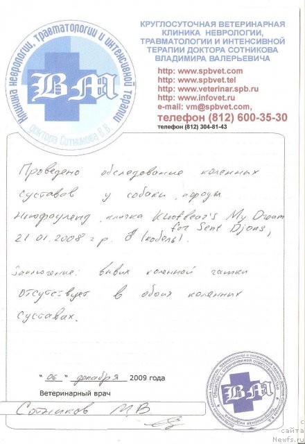 Фото: ньюфаундленд Kloofbears My Dream for Sent Djons