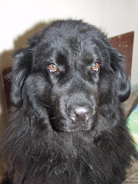 Фото: Sergey Jurjenko (Сергей Журженко)