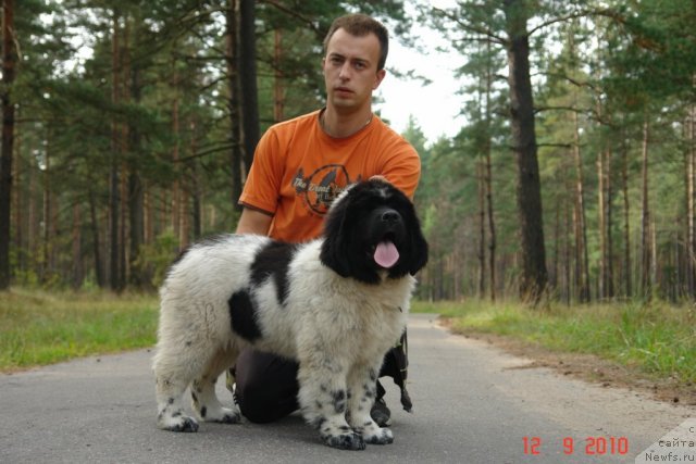 Фотография № 49322