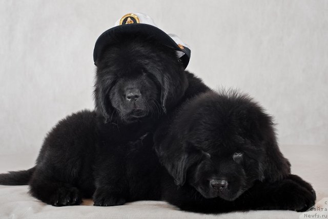 Фотография № 49333