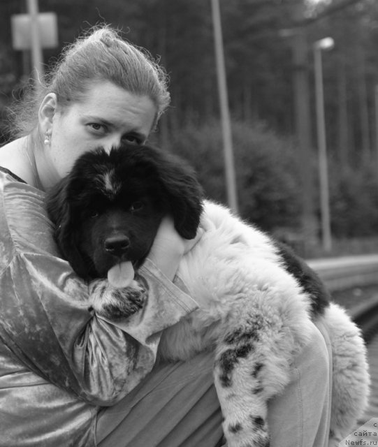 Фотография № 49348