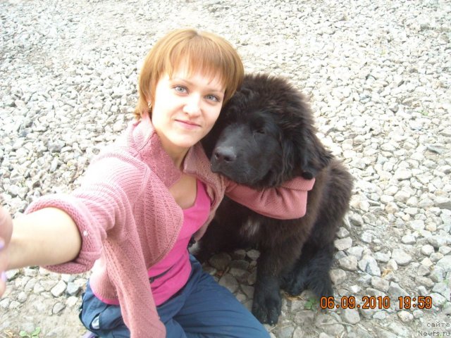 Фото: ньюфаундленд Aquatoriya Kelvin Northern Spirit (Акватория Келвин Нозерн Спирит), Oksana Smol'nikova (Оксана Смольникова)