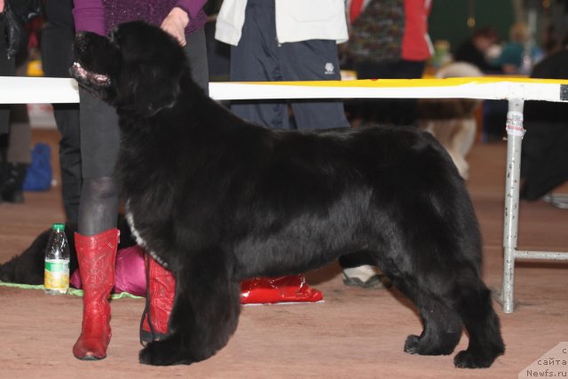 Фотография № 49380