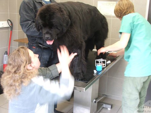 Фотография № 49388