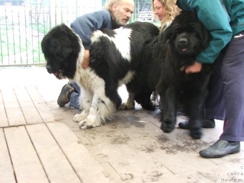 Фотография № 49394