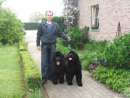 Фото: [d157]
[d193]