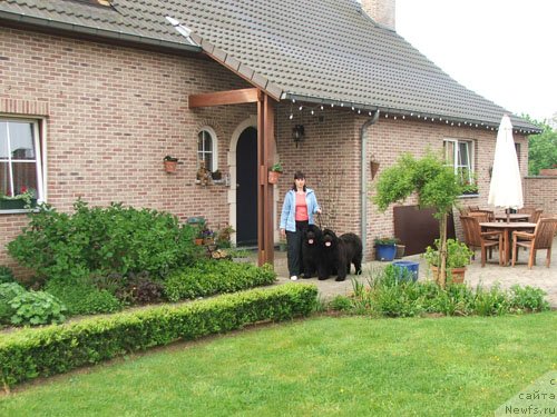 Фото: ньюфаундленд Plushevaya Panda Anabella Beautiful (Плюшевая Панда Анабелла Бьютифул)