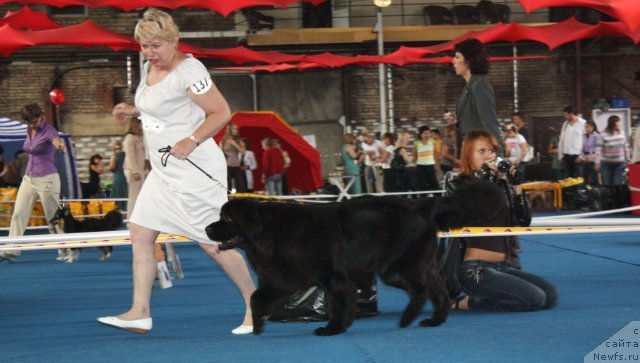 Фотография № 49468