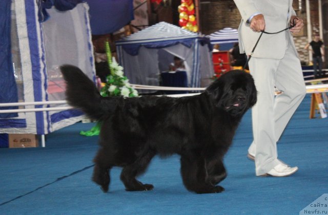 Фотография № 49478