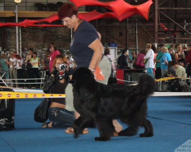 Фотография № 49479