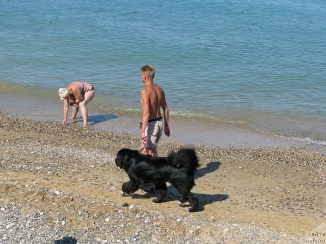 Фотография № 49509