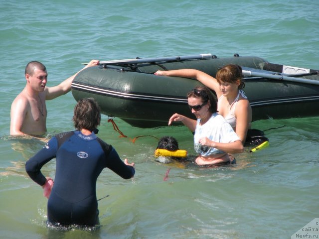 Фотография № 49513