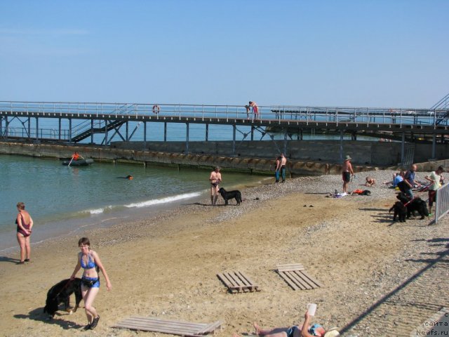 Фотография № 49519