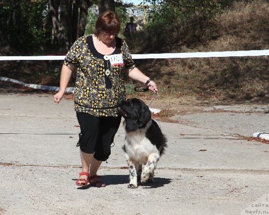 Фотография № 49585