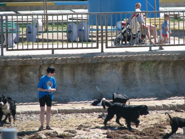 Фотография № 49586