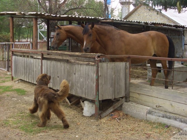 Фотография № 49648