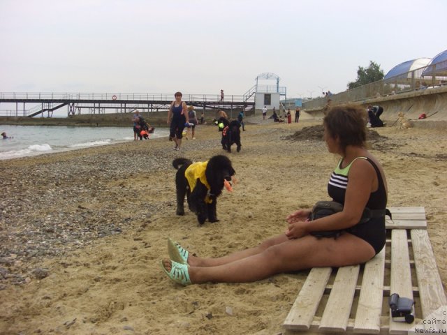 Фото: Anna Kovalyova (Анна Ковалёва)