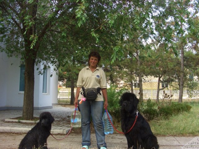 Фотография № 49690