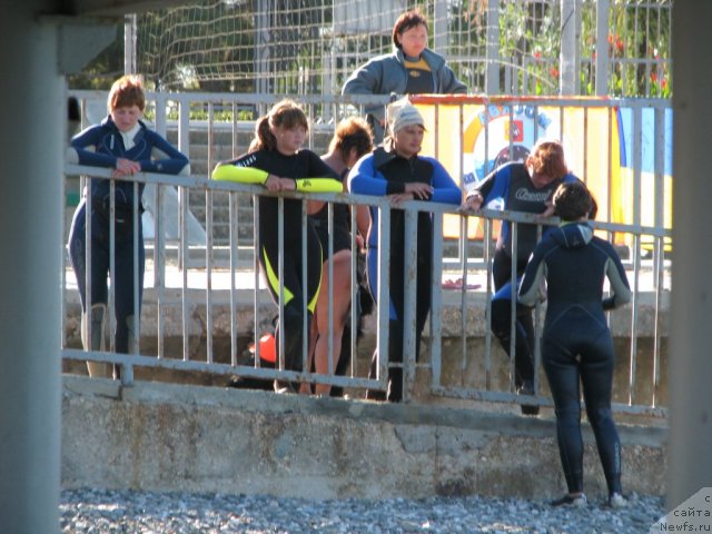 Фотография № 49691