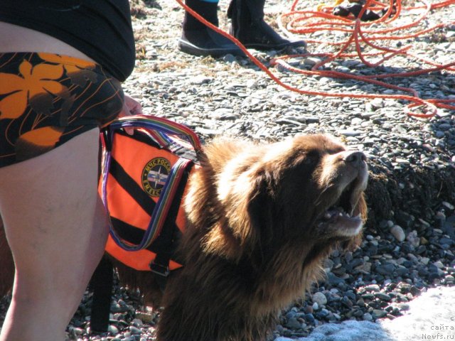 Фотография № 49695