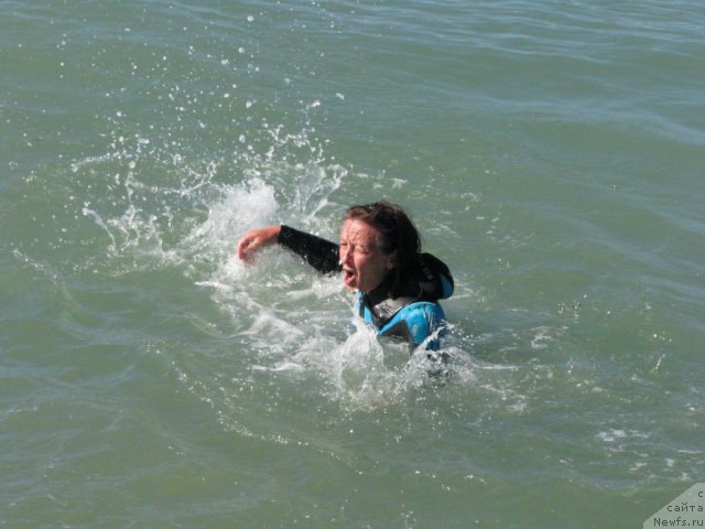 Фотография № 49721