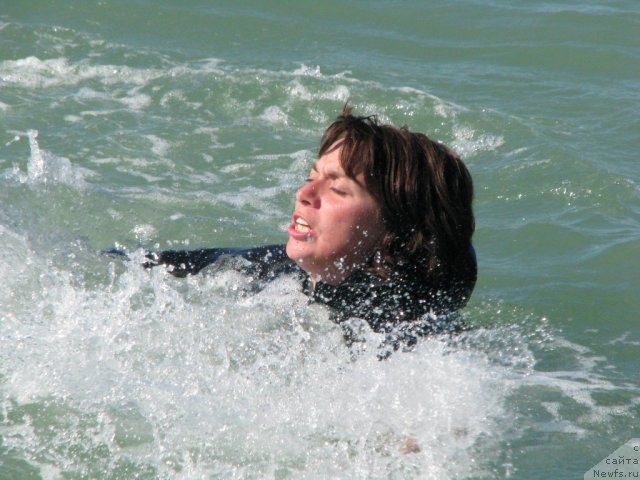 Фотография № 49725