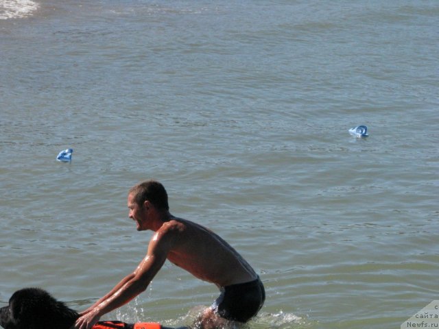 Фотография № 49730