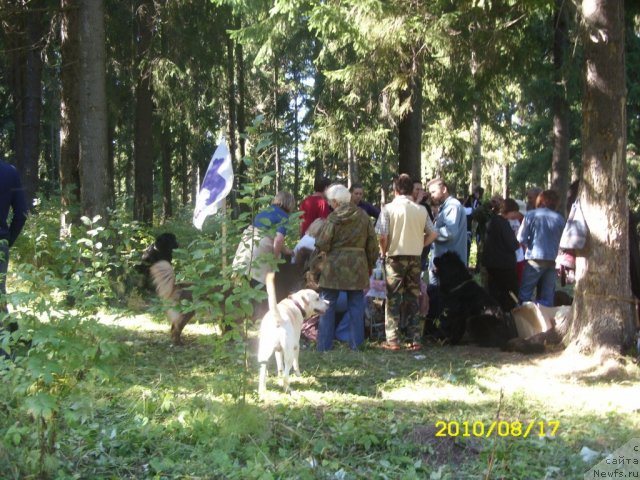 Фотография № 49744