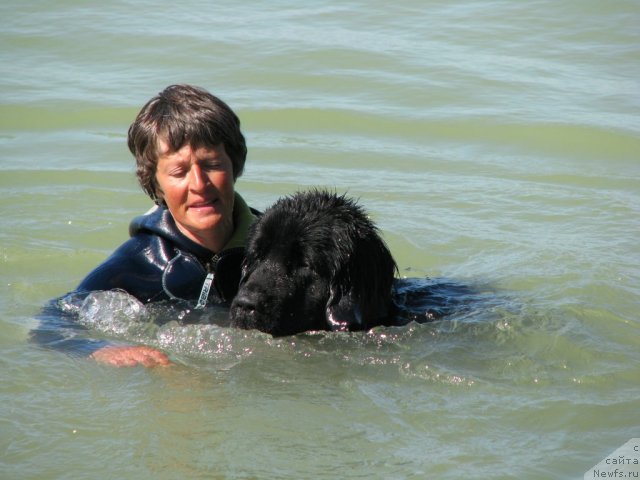 Фотография № 49776