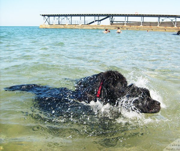 Фотография № 49797