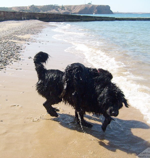 Фотография № 49798