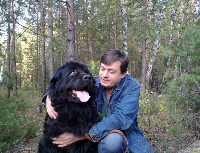 Фотография № 49799