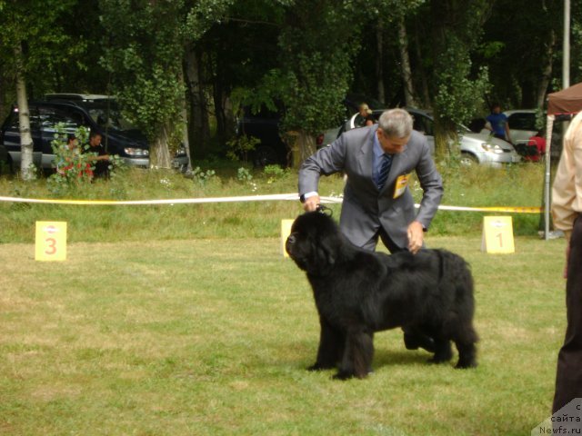 Фотография № 49808