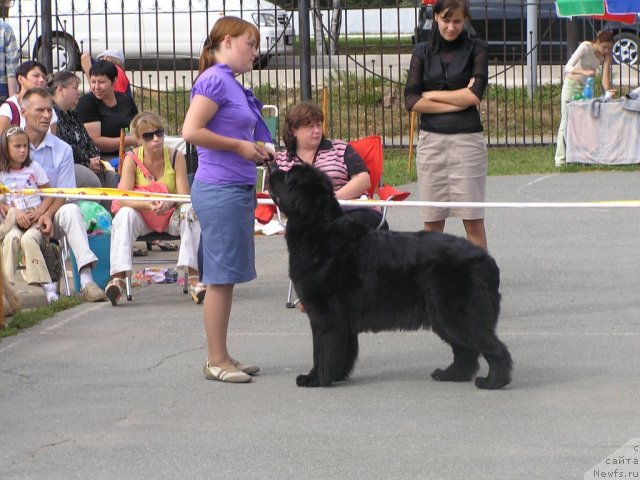 Фотография № 49829